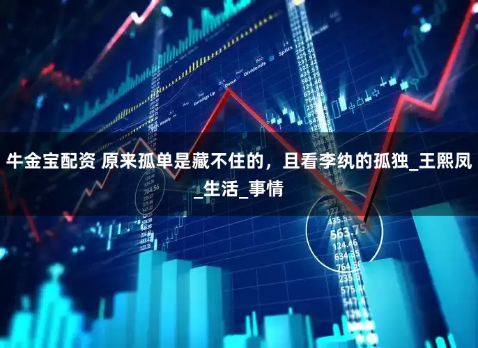 牛金宝配资 原来孤单是藏不住的，且看李纨的孤独_王熙凤_生活_事情