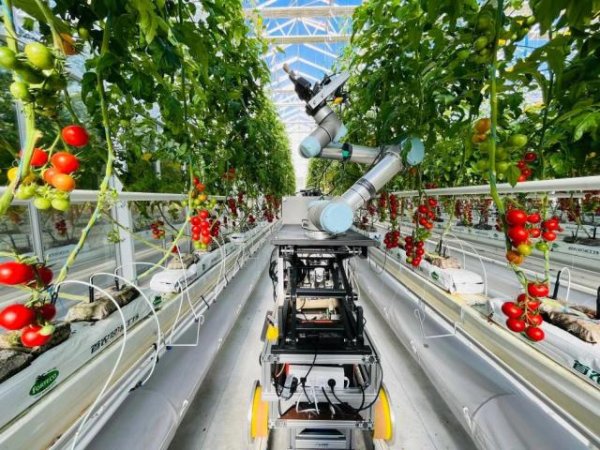 顺应网 世界首台！中国科学家研制成功