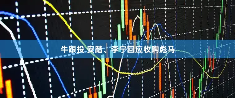 牛跟投 安踏、李宁回应收购彪马