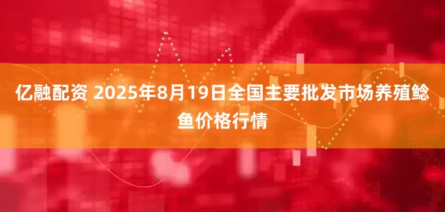 亿融配资 2025年8月19日全国主要批发市场养殖鲶鱼价格行情