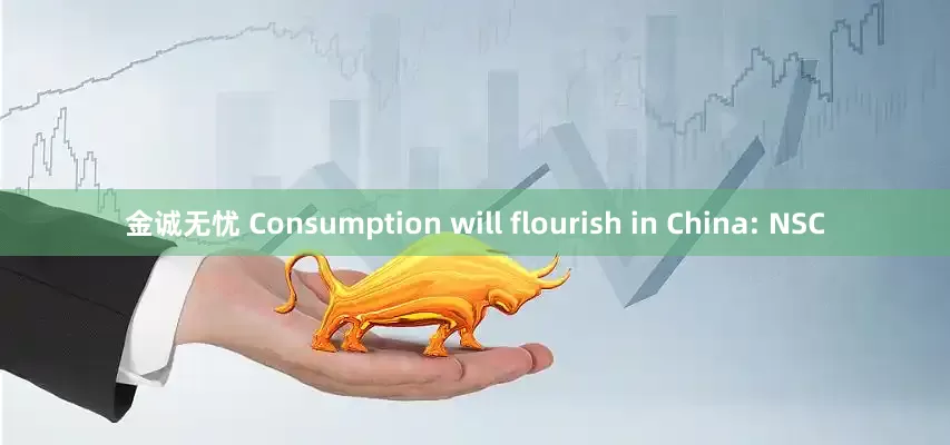 金诚无忧 Consumption will flourish in China: NSC